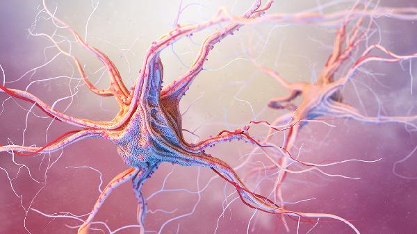 下牙槽神經(jīng)阻滯麻醉有用嗎