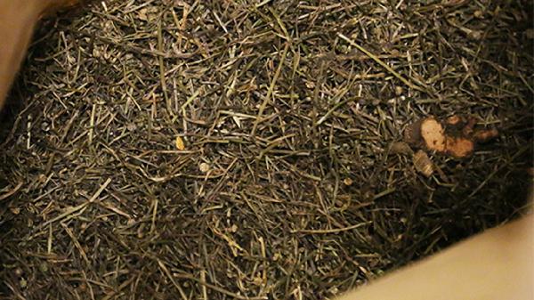 煎中藥可以放幾天嗎