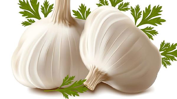 剥皮的大蒜粒冷藏还是冷冻