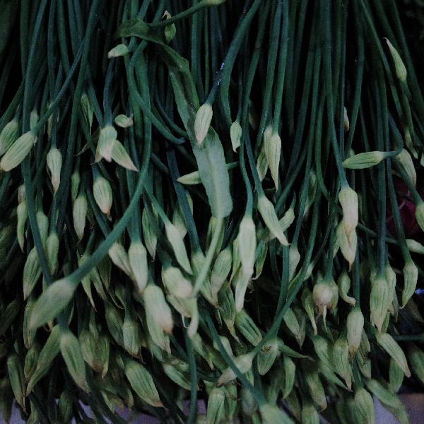 剩飯剩菜怎么處理環(huán)保措施