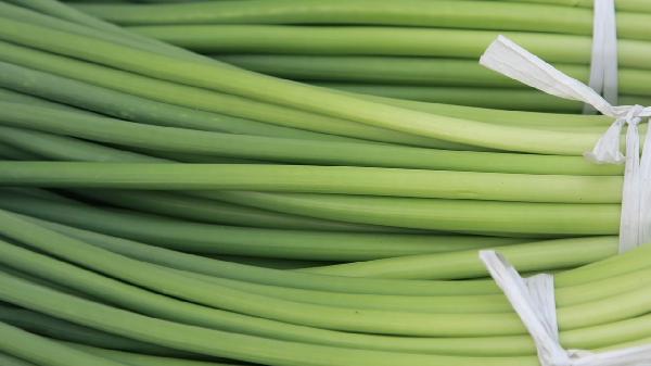 蒜苗放冰箱可以放幾天