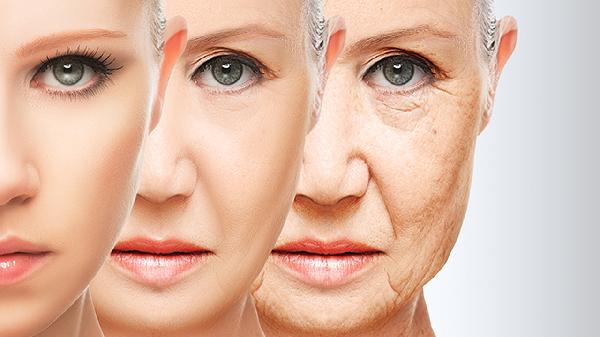 必吃的幾種抗衰老食物