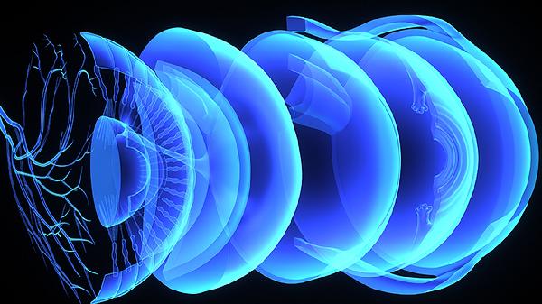 什么叫先天性神經(jīng)管畸形