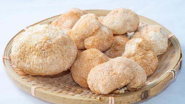 鮮猴頭菇需要焯水嗎