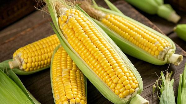 凍玉米怎樣煮又嫩又好吃
