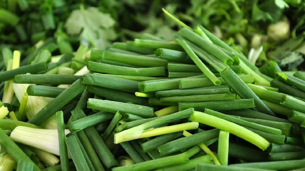 韭菜最低溫度多少度能凍死