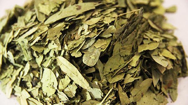 長期喝番瀉葉水對(duì)身體有危害嗎