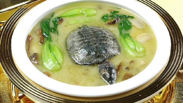 男人吃甲魚壯陽嗎