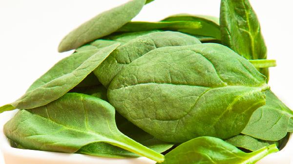 为什么菠菜炒完之后发苦