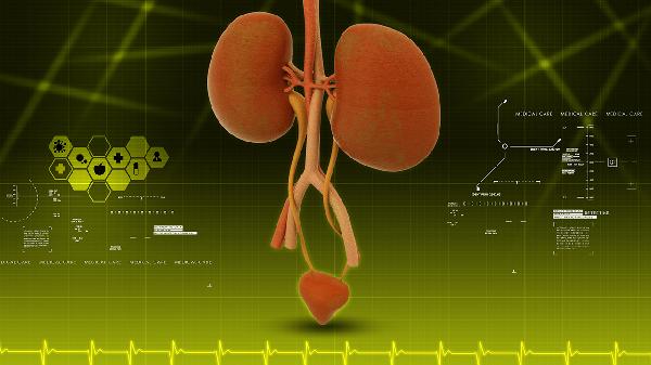 补气补血补肾吃什么药好