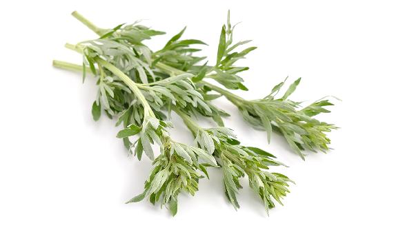 艾葉熏房間多久才殺菌