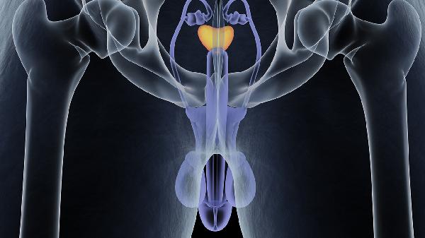淋病会不会影响性功能