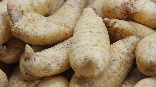 白鴿煲天麻，可以治各種頭疼嗎