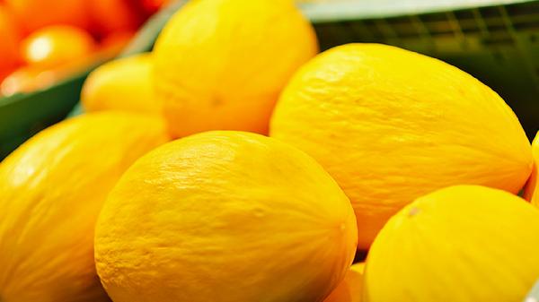 買哈密瓜怎么選又甜又脆