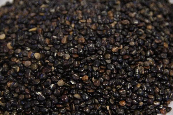 吃著中藥大便不成形