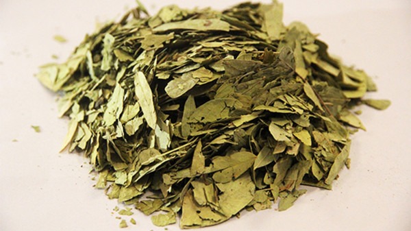 {减肥药的成分是什么 减肥药所含成分有什么<a href=