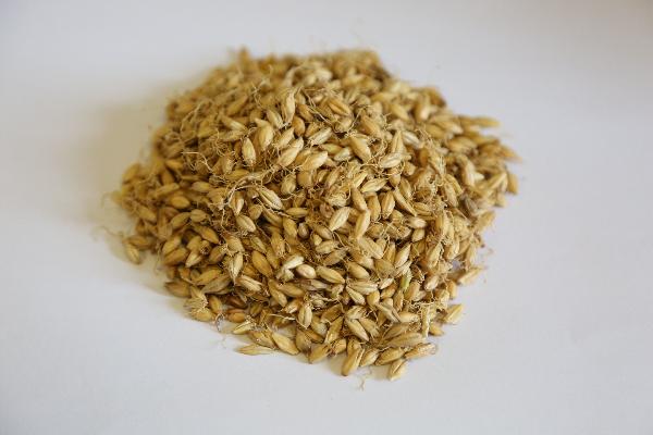 肝功異常中藥處方有哪些