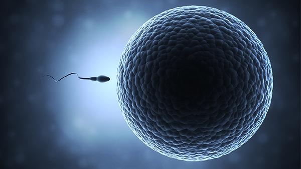 精子凝固成長條的原因有哪些