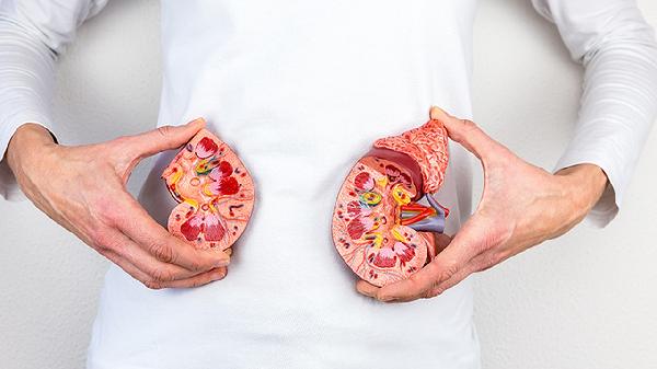 腎囊腫不管它會(huì)不會(huì)發(fā)展成腫瘤