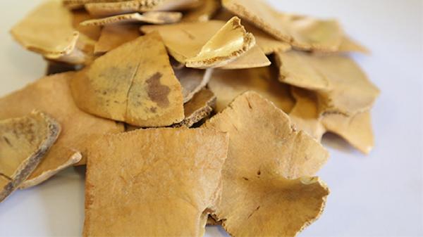 奶堵了有硬塊怎么疏通中藥調(diào)理