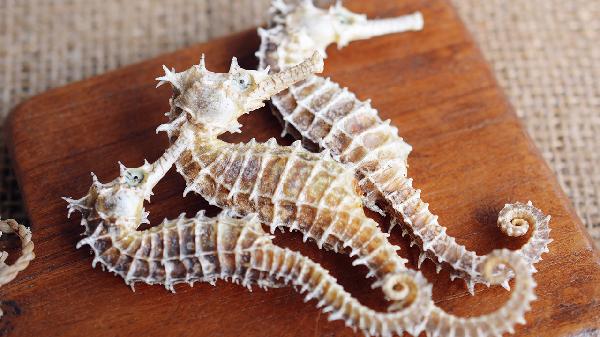 什么中藥泡水喝減肥