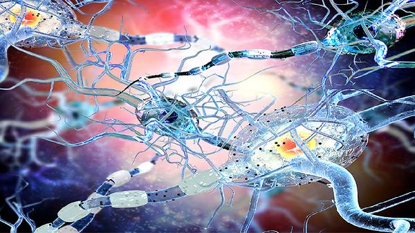 股外側(cè)神經(jīng)炎做什么檢查