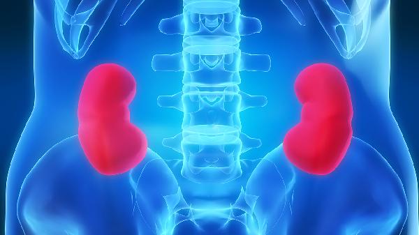 金匱腎氣丸吃多久可以好