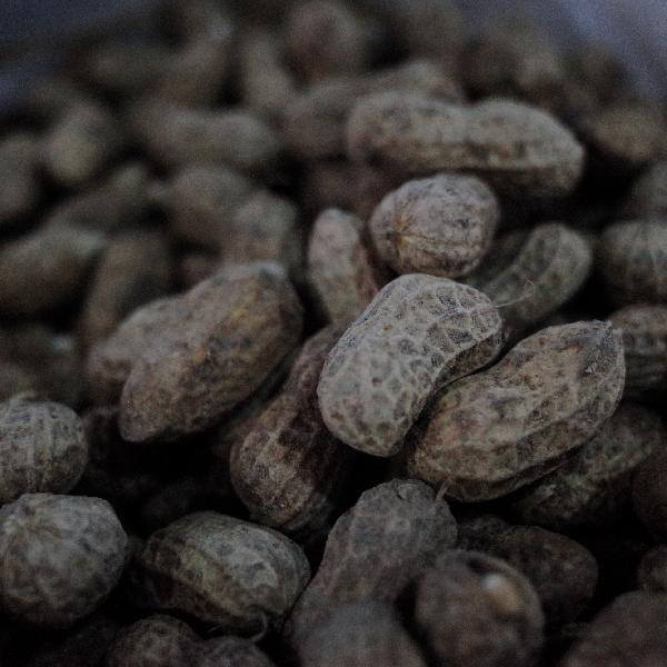 花生潮濕怎么變脆