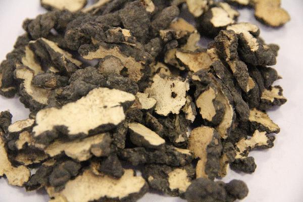 中藥通經(jīng)活血的藥草