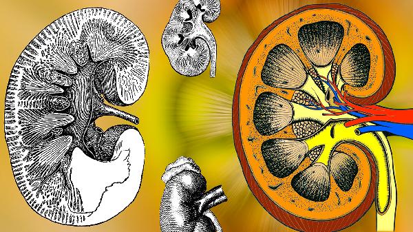 蟶子王怎么洗內(nèi)臟干凈