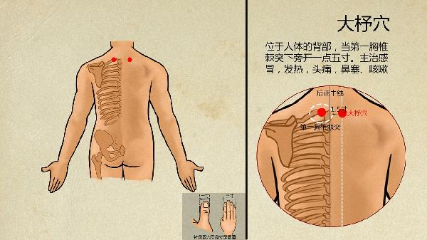催乳素偏高的原因和中醫(yī)