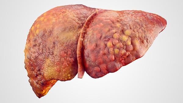 補(bǔ)肝脾最好的中成藥