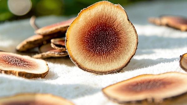 女人每晚喝點(diǎn)鹿茸酒好嗎