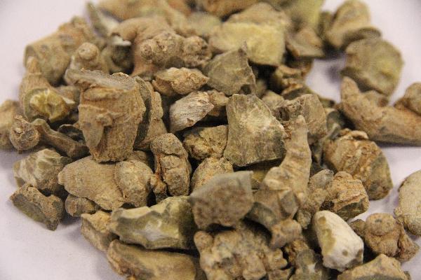 補(bǔ)腎吃什么中藥效果最好