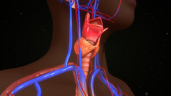 健康人攜帶鼻病毒嗎