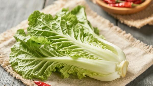 芥藍(lán)和芥菜是一種菜嗎