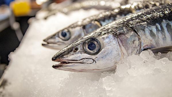 如何刮帶魚(yú)的魚(yú)鱗竅門(mén)