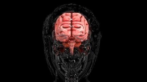 動(dòng)脈瘤擴(kuò)張是什么