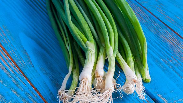 腸胃不好的人能吃大蔥嗎