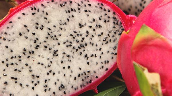 用火龍果做面膜有什么作用