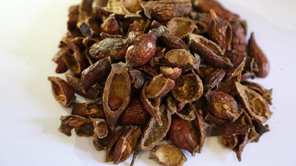 金樱子泡酒配什么一起泡最好