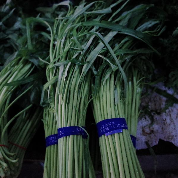 剩飯剩菜熱的時(shí)候能放冰箱嗎