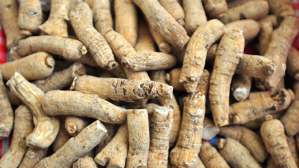 西洋參的6大禁忌是什么