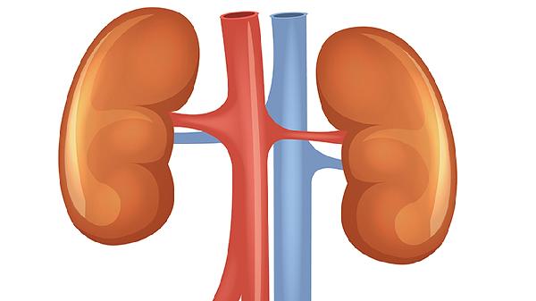腎寶片對陰陽兩虛有效果嗎