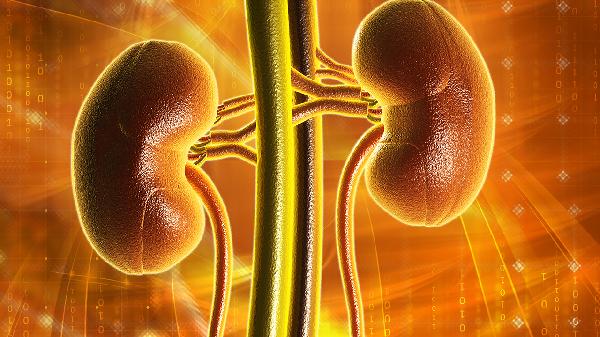 腎病綜合征到底是什么病因造成的