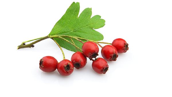 健身吃什么蛋白质含量高的食物和水果