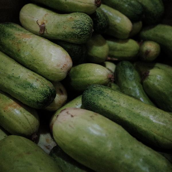 蔬菜拿什么泡能解除農藥殘留