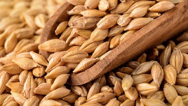 兒童脾胃虛弱能吃麥芽糖嗎