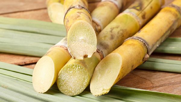 吃變質(zhì)甘蔗中毒癥狀
