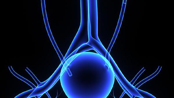 良性嗜鉻細胞瘤會轉(zhuǎn)惡性嗎